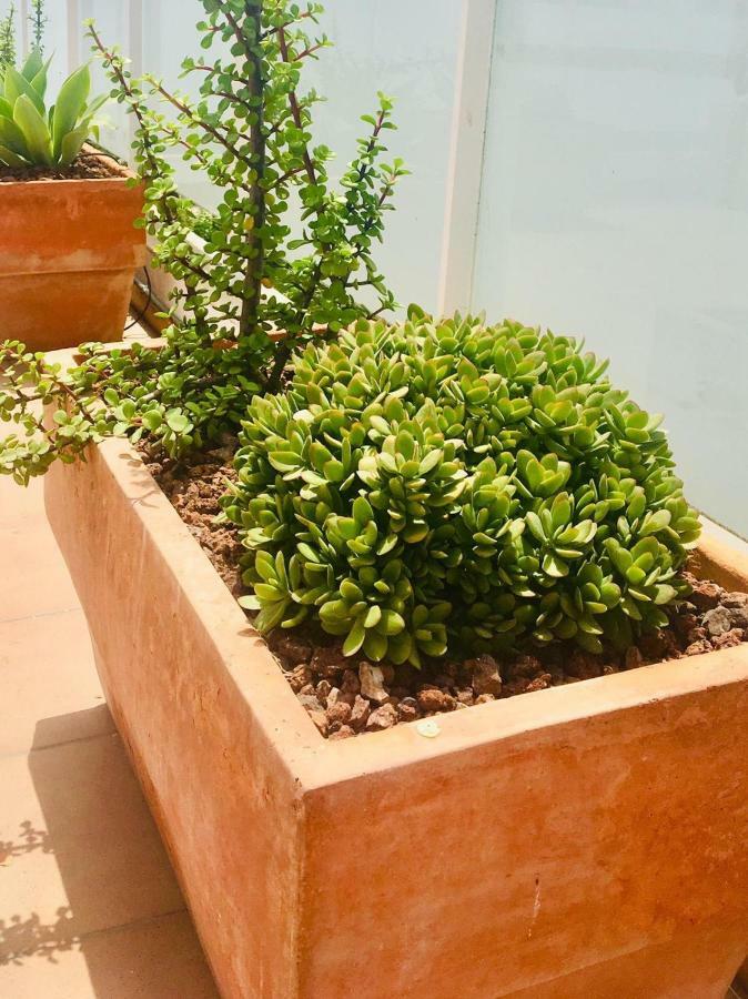 Apartamento Penthouse La Paz 9 - Castle View Moraira Exterior foto